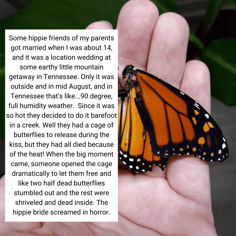 Bye Bye Butterflies