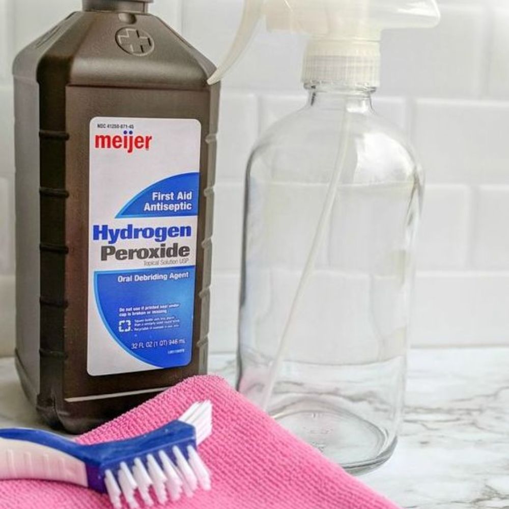 Disinfect the Toilet Brush
