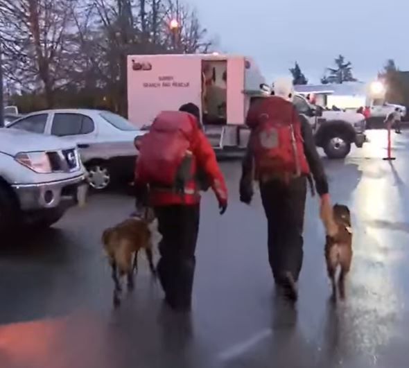 300 Search and Rescuers 300 Search and Rescuers